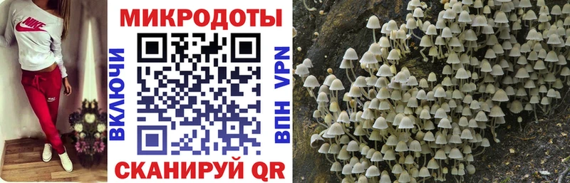Псилоцибиновые грибы Cubensis  Заинск 